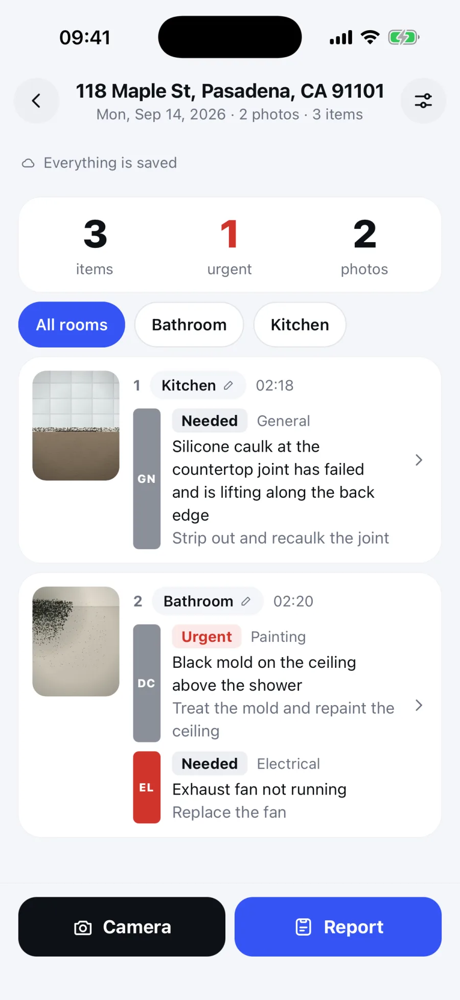 The SayScope iPhone app with a sample walkthrough, its photos, draft report items and priorities.